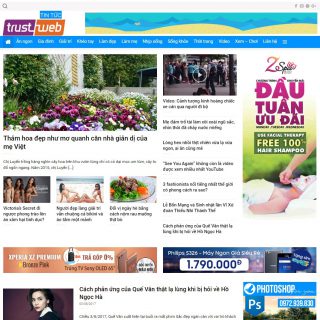 Theme wordpress tin tức / blog đã Việt hóa